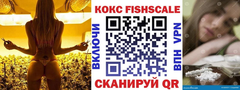 COCAIN FishScale  гидра как войти  Новая Ладога 