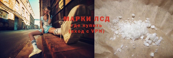 прущие грибы Гусиноозёрск