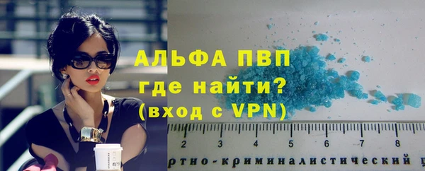 дживик Гусев