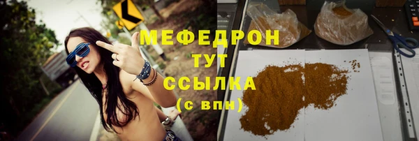 прущие грибы Гусиноозёрск
