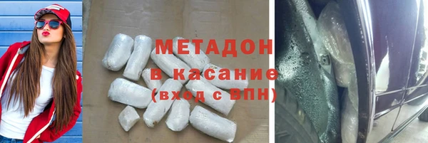 прущие грибы Гусиноозёрск