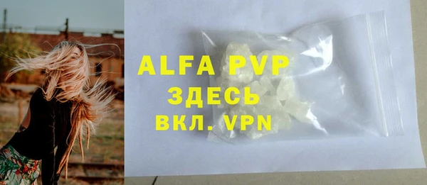 дживик Гусев