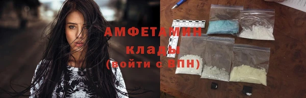 прущие грибы Гусиноозёрск