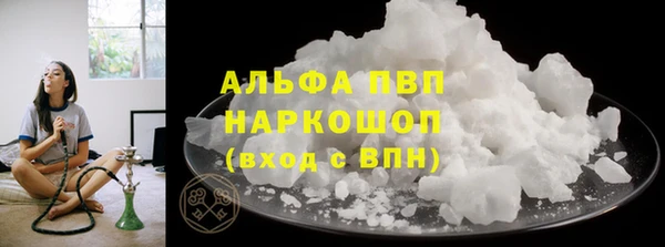 прущие грибы Гусиноозёрск