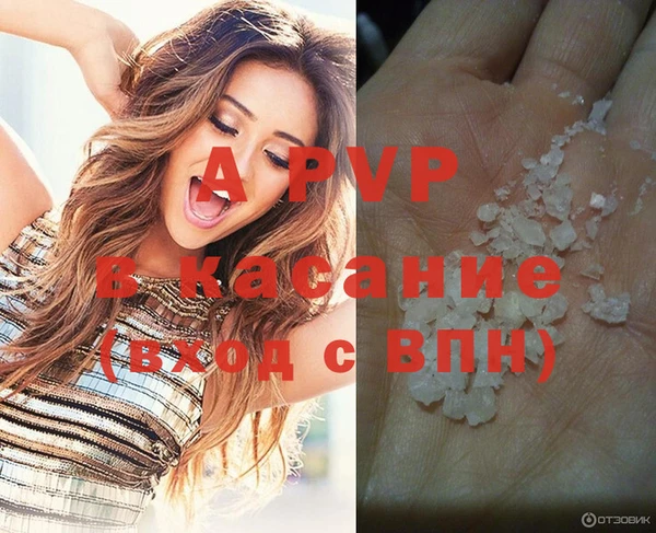 дживик Гусев