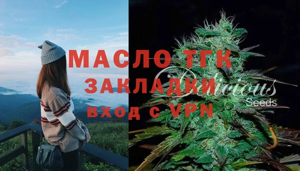 дживик Гусев