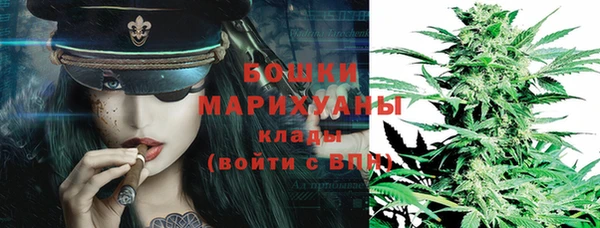 дживик Гусев