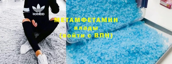 прущие грибы Гусиноозёрск