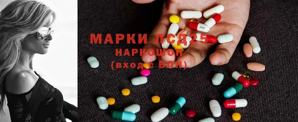прущие грибы Гусиноозёрск