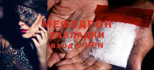 прущие грибы Гусиноозёрск