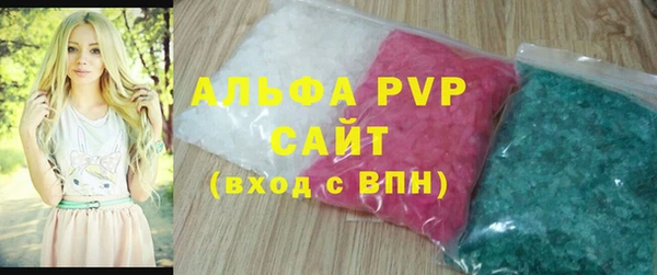 прущие грибы Гусиноозёрск