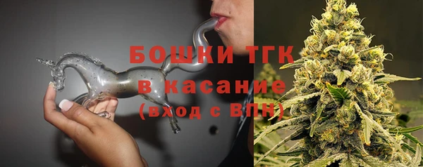 прущие грибы Гусиноозёрск