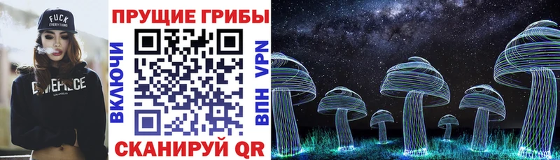 Галлюциногенные грибы мицелий  Новая Ладога 