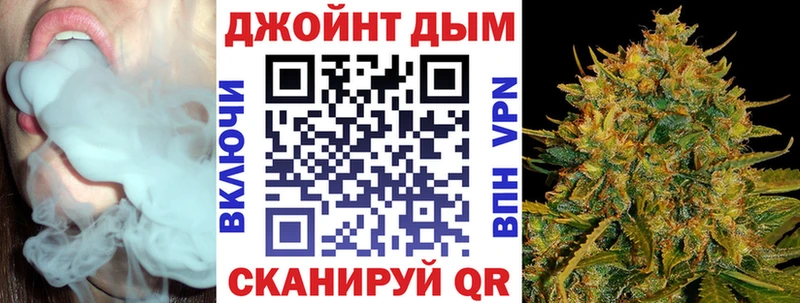 Каннабис гибрид  продажа наркотиков  Новая Ладога 